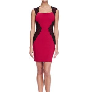 Perfect special occasion lace inset dress!